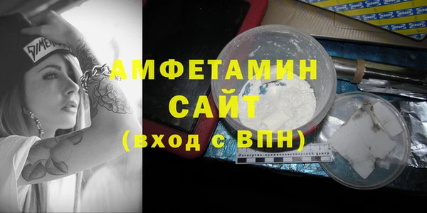 стаф Алзамай