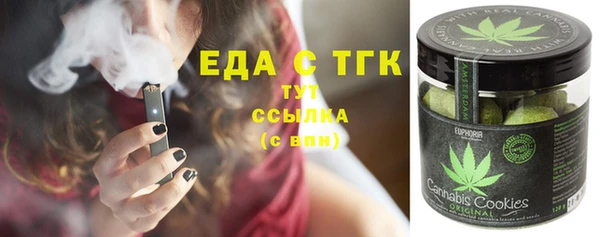 стаф Алзамай