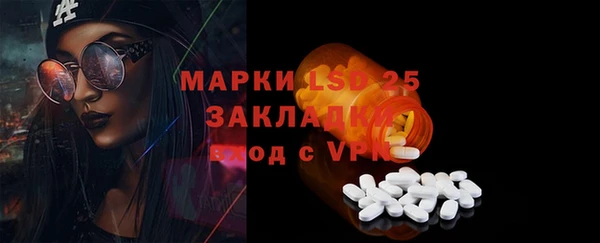 стаф Алзамай