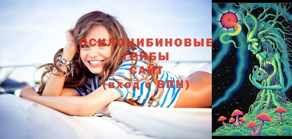 эйфоретик Алексеевка