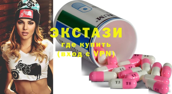 стаф Алзамай